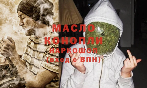 mix Богородицк