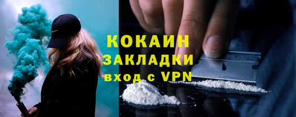 mix Богородицк