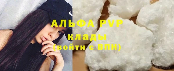spice Богородск